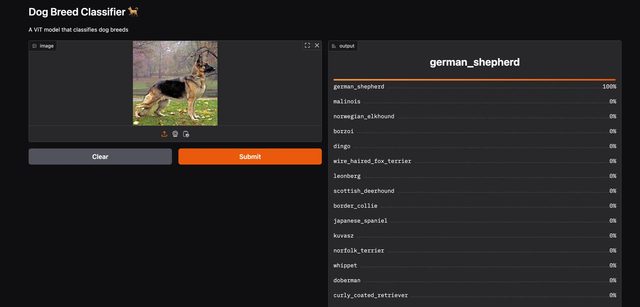 Screenshot of Vision Transformer - Dog Breed Classifier project